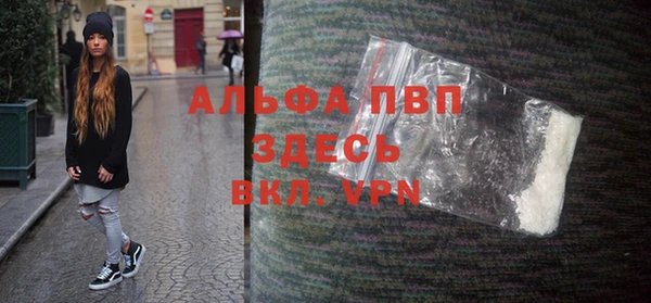 индика Алексин